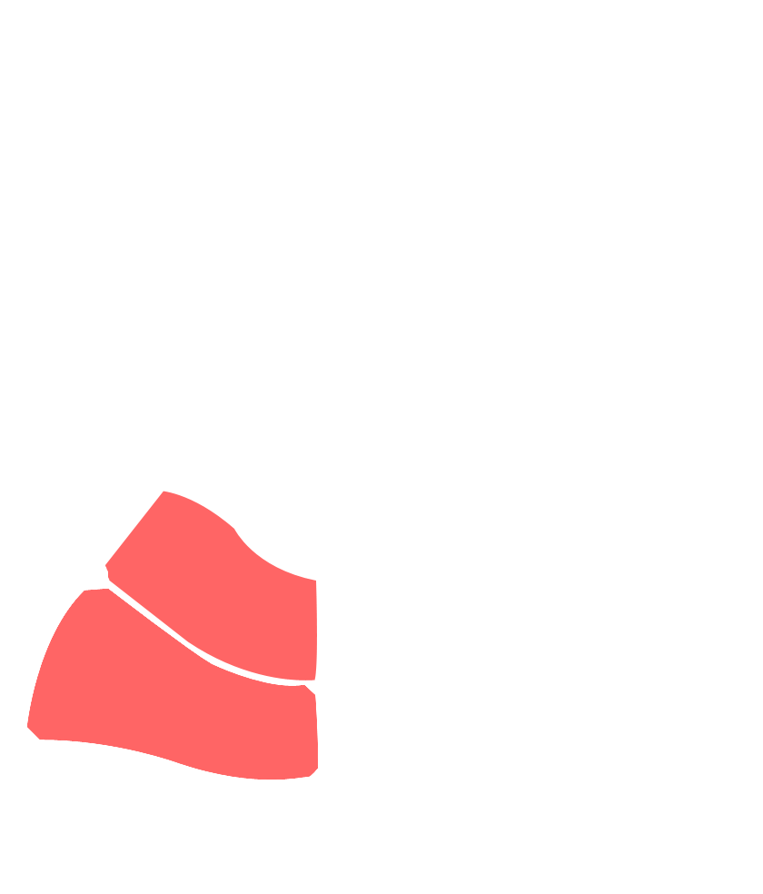 project